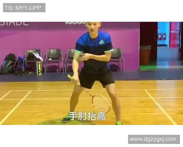 深入分析北京羽毛球队区域防守战术及其在比赛中的应用效果